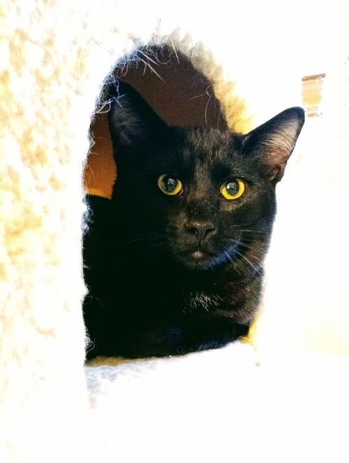 NIMBUS - Offered by Owner