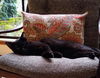 NIMBUS - Offered by Owner