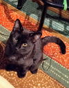 NIMBUS - Offered by Owner