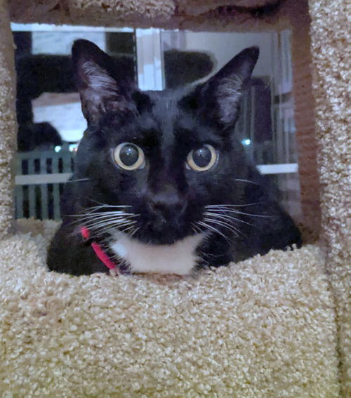 HUMPHREY - Offered by Owner