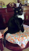 HUMPHREY - Offered by Owner