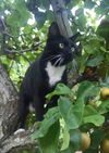 HUMPHREY - Offered by Owner