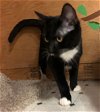 URSULA & UGO - Offered by Owner Teen Pair