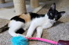 MIDGE and SUSIE - Bonded teen sisters!