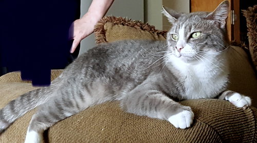 ASHES - Offered by Owner - Young adult