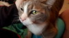 ASHES - Offered by Owner - Young adult