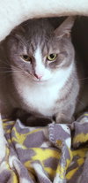 ASHES - Offered by Owner - Young adult