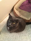 HOLLY - Offered by Owner