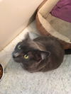 HOLLY - Offered by Owner
