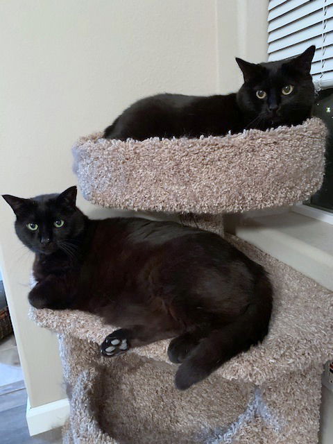 ALEX & AUTUMN - bonded adults