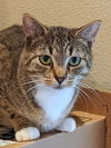 BETU - Offered by Owner - Young Female