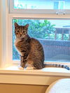 BETU - Offered by Owner - Young Female