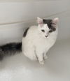 LEXIE - Offered by Owner