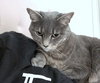 PRINCESS - Offered by Owner