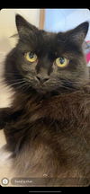 ALICE - Offererd by Owner