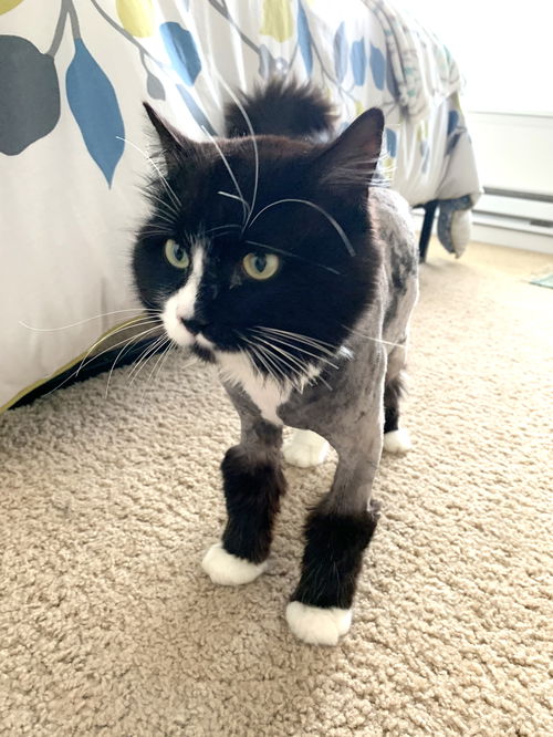 ROMEO - Lives up to his name!