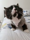 ROMEO - Lives up to his name!