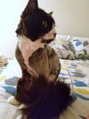 ROMEO - Lives up to his name!