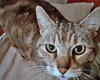 MOMO - Offered by Owner - Senior Gal