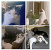 CHARLIE - Offered by Owner - Teen