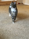 ROXIE - Offred by Owner