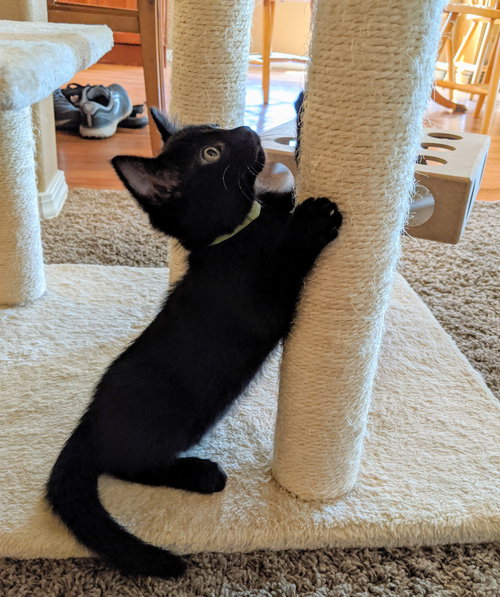 SULU