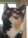 CICI - Offered by Owner