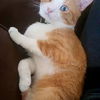 CECIL - Offered by Owner