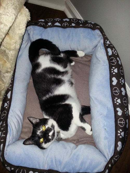 PIXIE - Offered by Owner