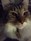 PHOEBE - Offered by Owner
