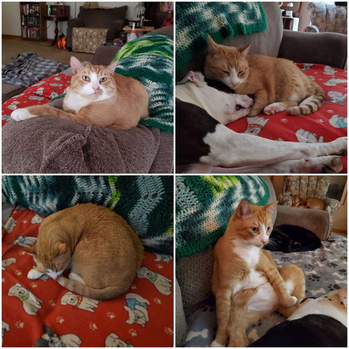 LUCA - Offered by Owner