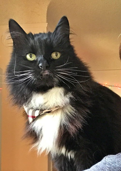 NORIE - Offered by Owner