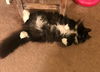 NORIE - Offered by Owner