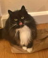 NORIE - Offered by Owner