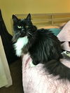 NORIE - Offered by Owner