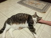 PRECIOUS - Offred by Owner