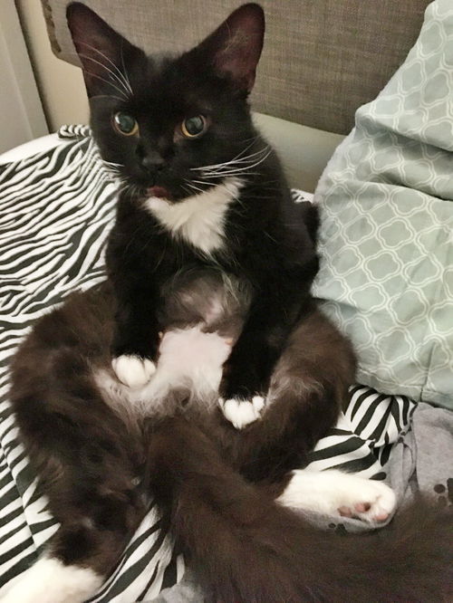 BETTY - Offered by Owner