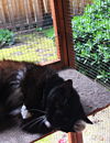 BETTY - Offered by Owner
