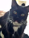 BETTY - Offered by Owner