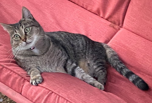 MISS SEPTEMBER - Offered by Owner