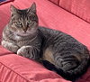 MISS SEPTEMBER - Offered by Owner