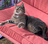 MISS SEPTEMBER - Offered by Owner