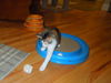 Marbles