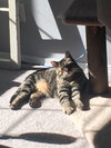 CLAUDE - Offered by Owner