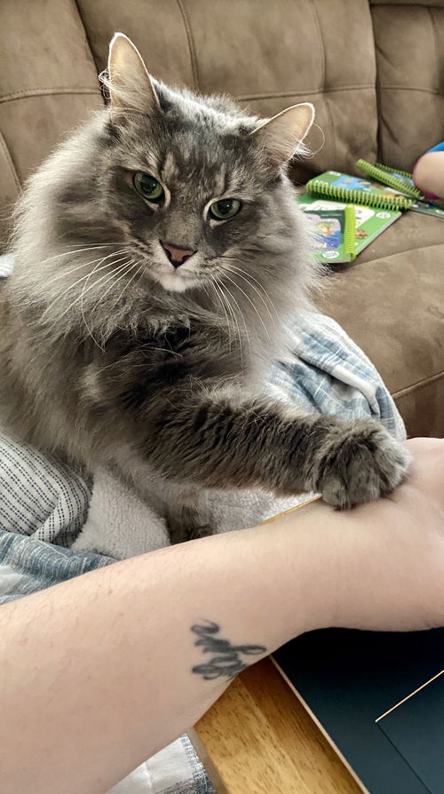 MAIZ - Offered by Owner - Friendly Senior