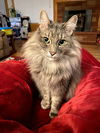 MAIZ - Offered by Owner - Friendly Senior