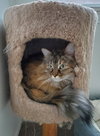 CLOVE - Offered by Owner