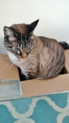 SVEN - Offered by Owner