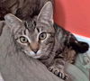 MARY KATE & ASHLEY - Offered by Owner - Sisters