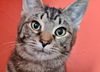 MARY KATE & ASHLEY - Offered by Owner - Sisters